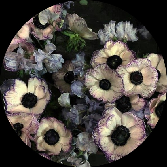 sadebrindle